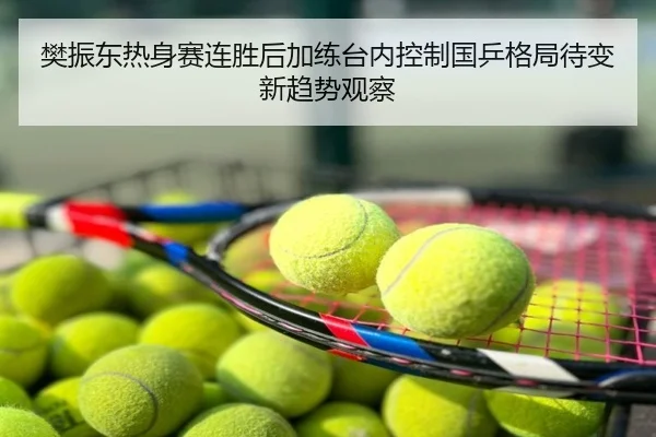 樊振东热身赛连胜后加练台内控制国乒格局待变新趋势观察